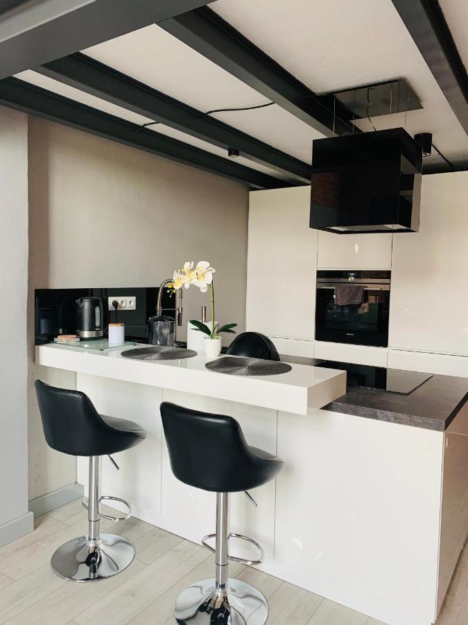 Loft De Girarda Appartement Zyrardow Buitenkant foto